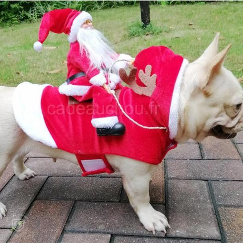 deguisement traineau pere noel costume chien habit vetement tenue XL